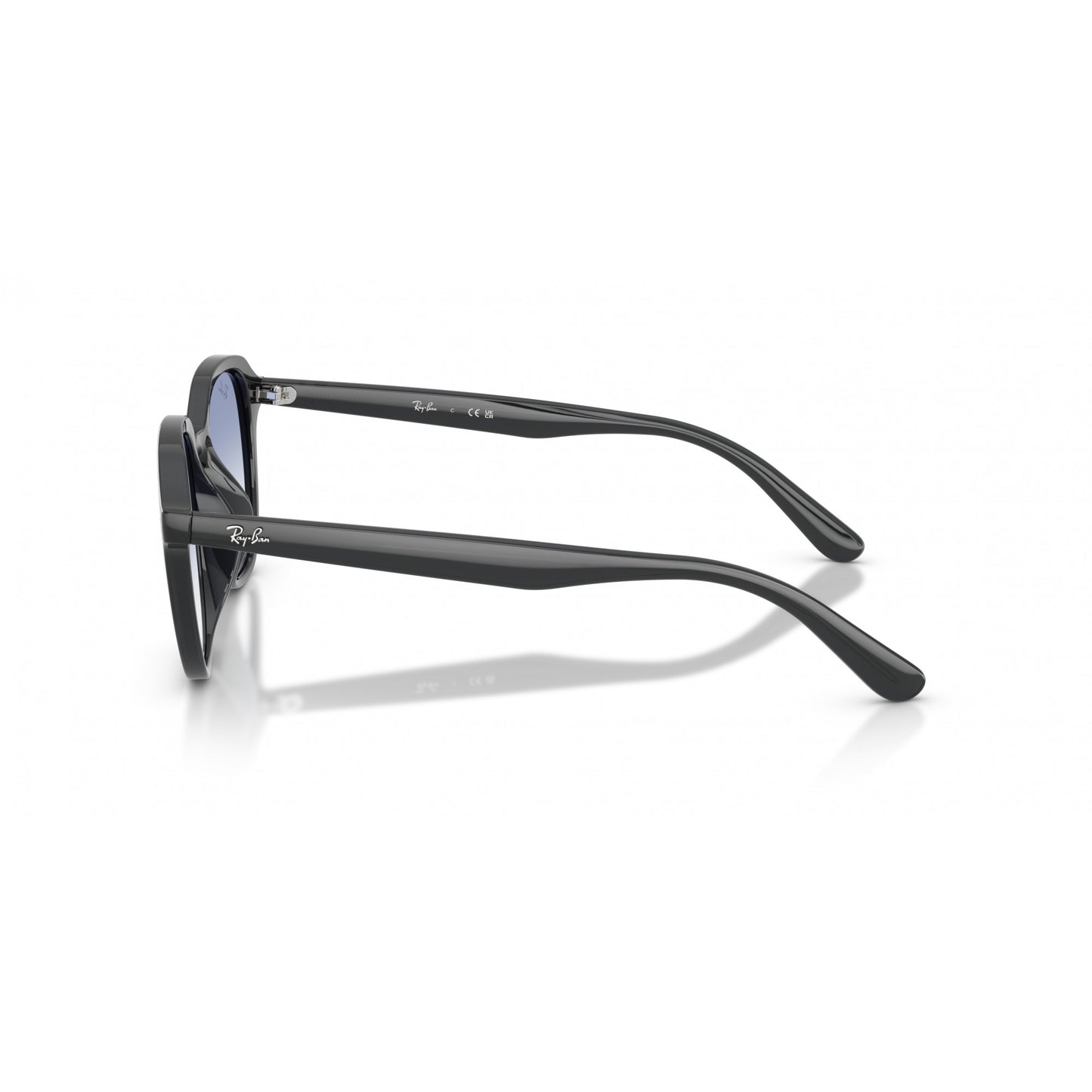 Ray-Ban 0RB4459D