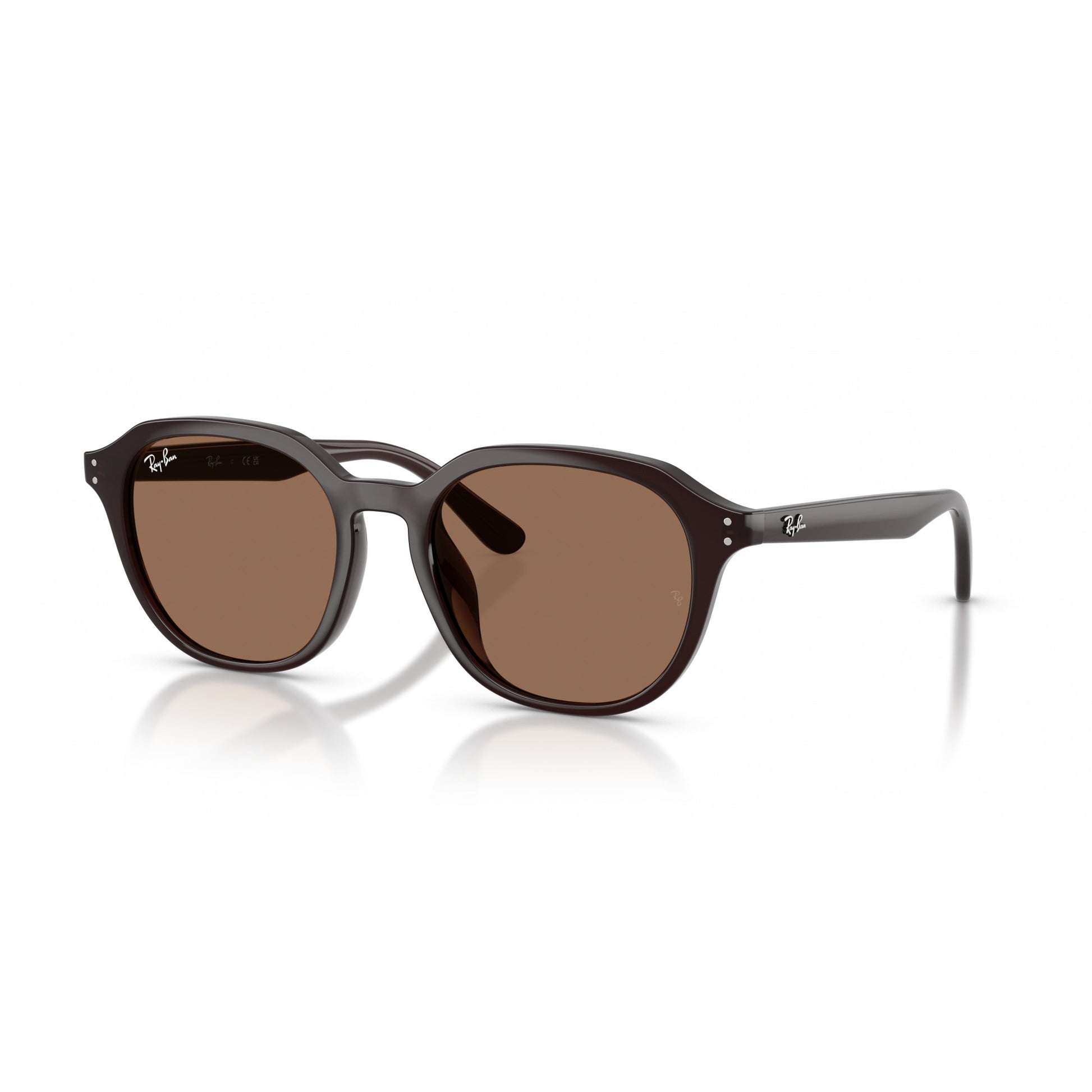 Ray-Ban 0RB4459D