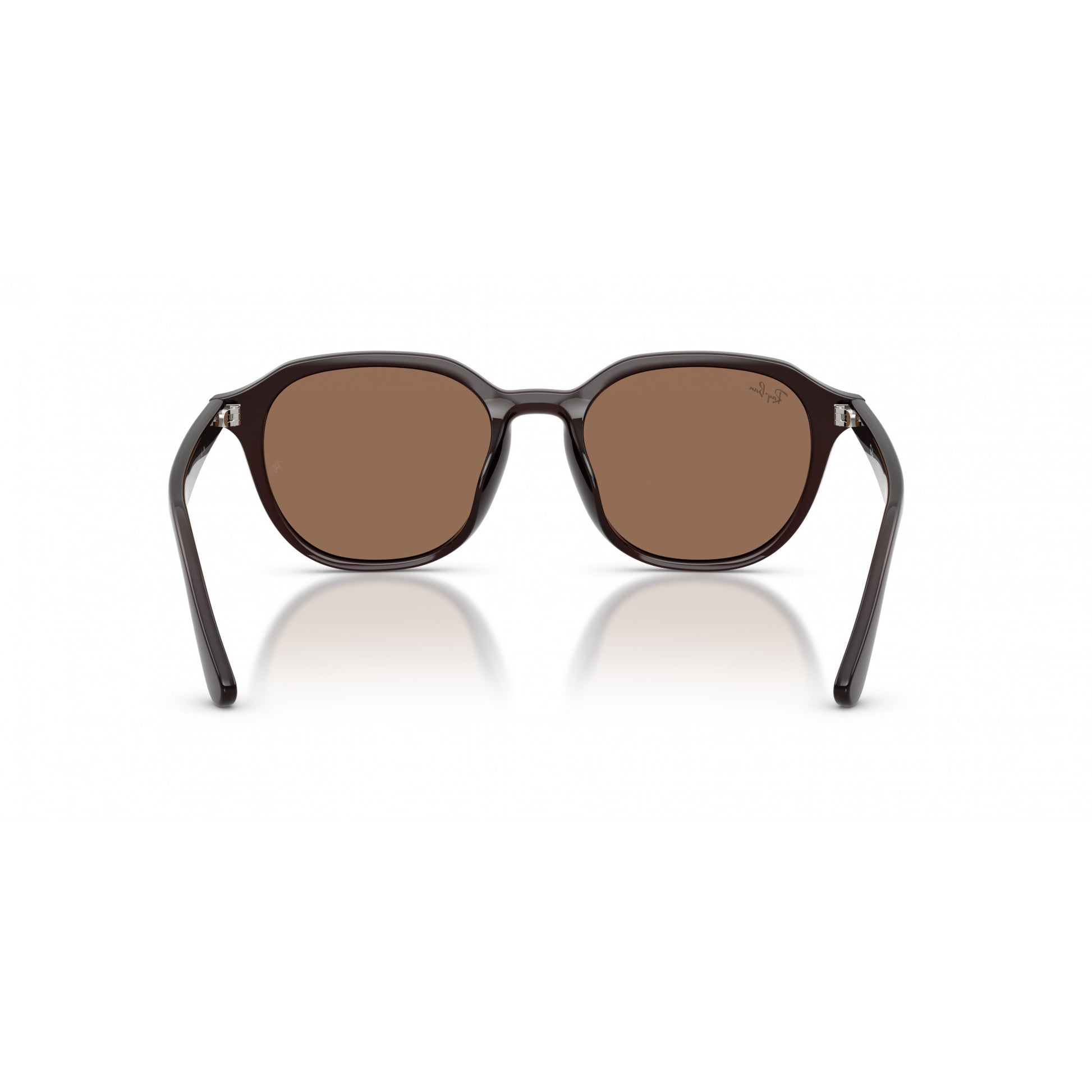 Ray-Ban 0RB4459D