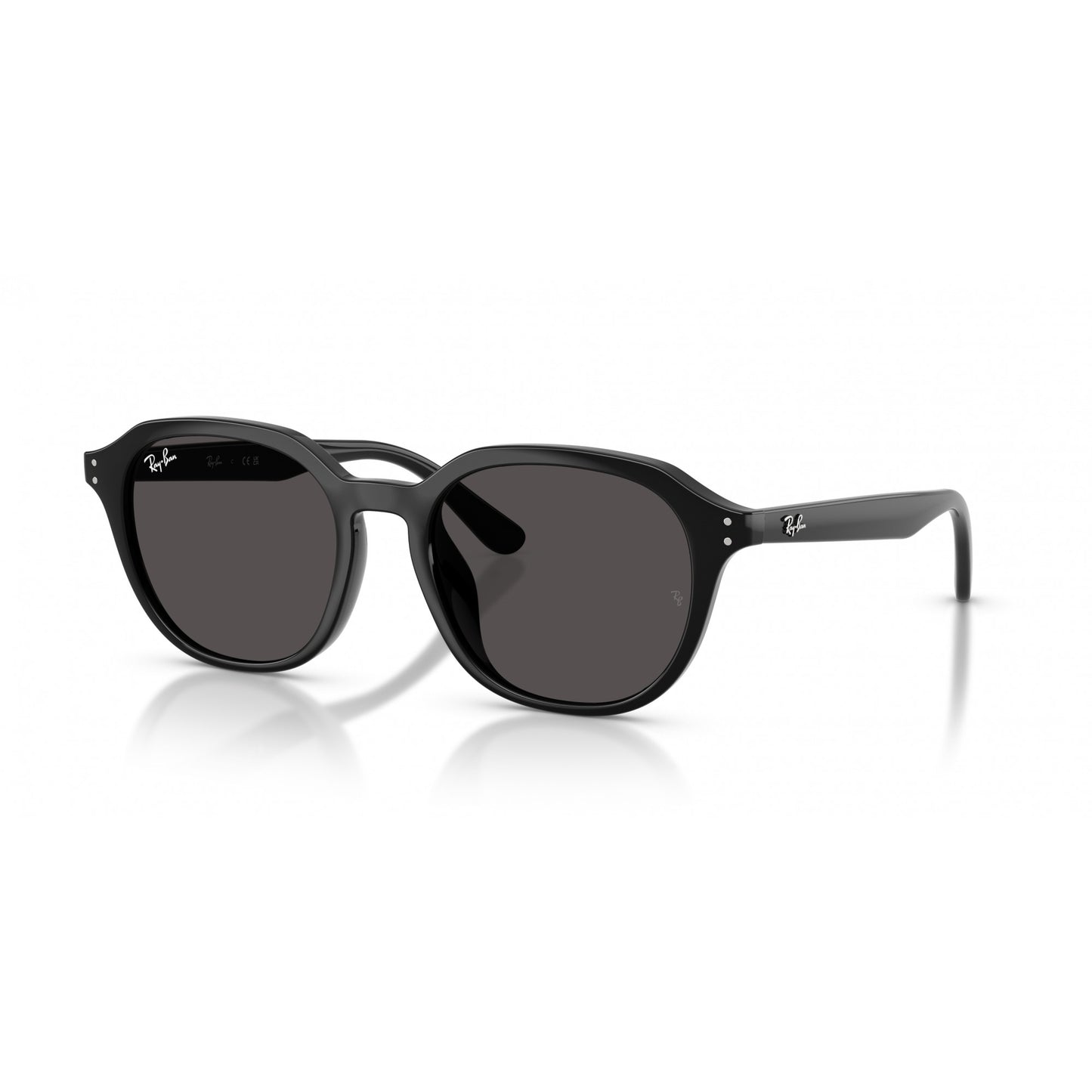 Ray-Ban 0RB4459D