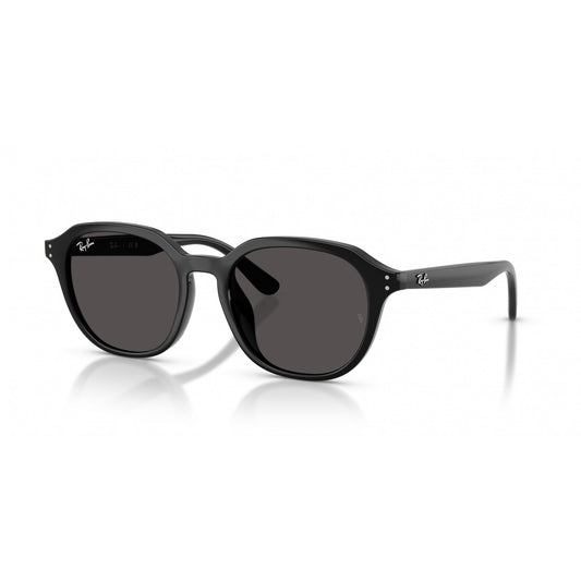 Ray-Ban 0RB4459D