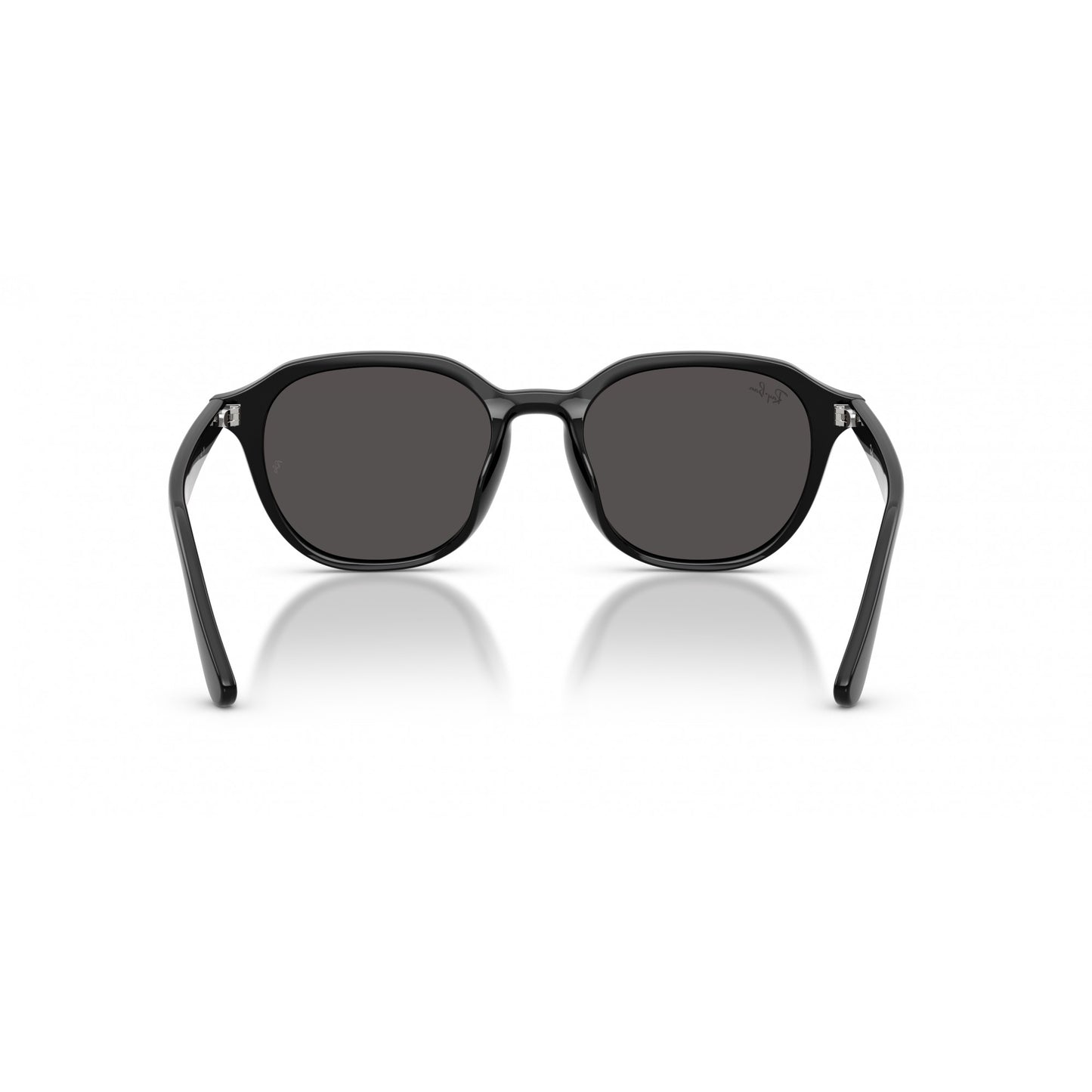 Ray-Ban 0RB4459D