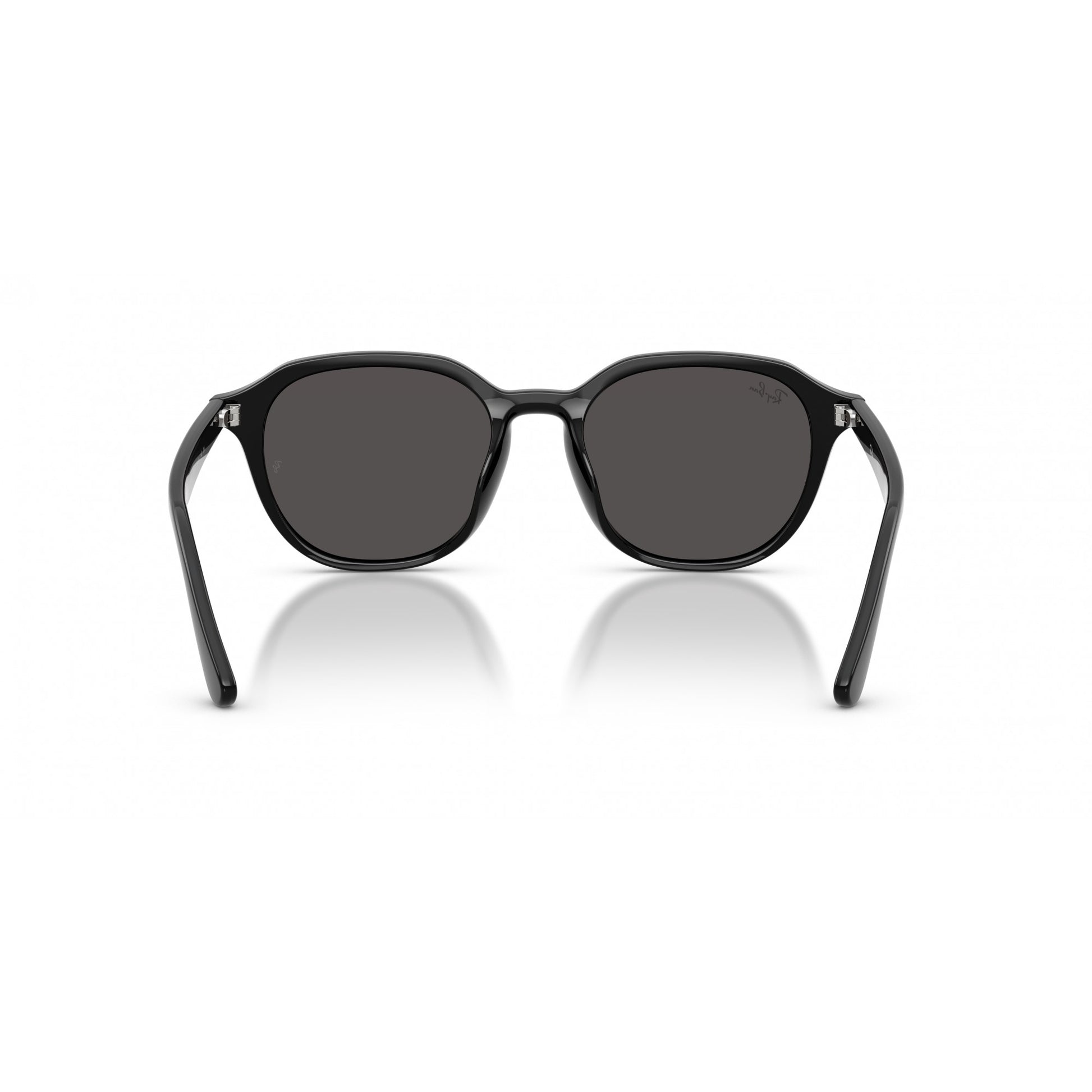 Ray-Ban 0RB4459D