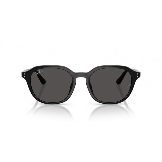 Ray-Ban 0RB4459D
