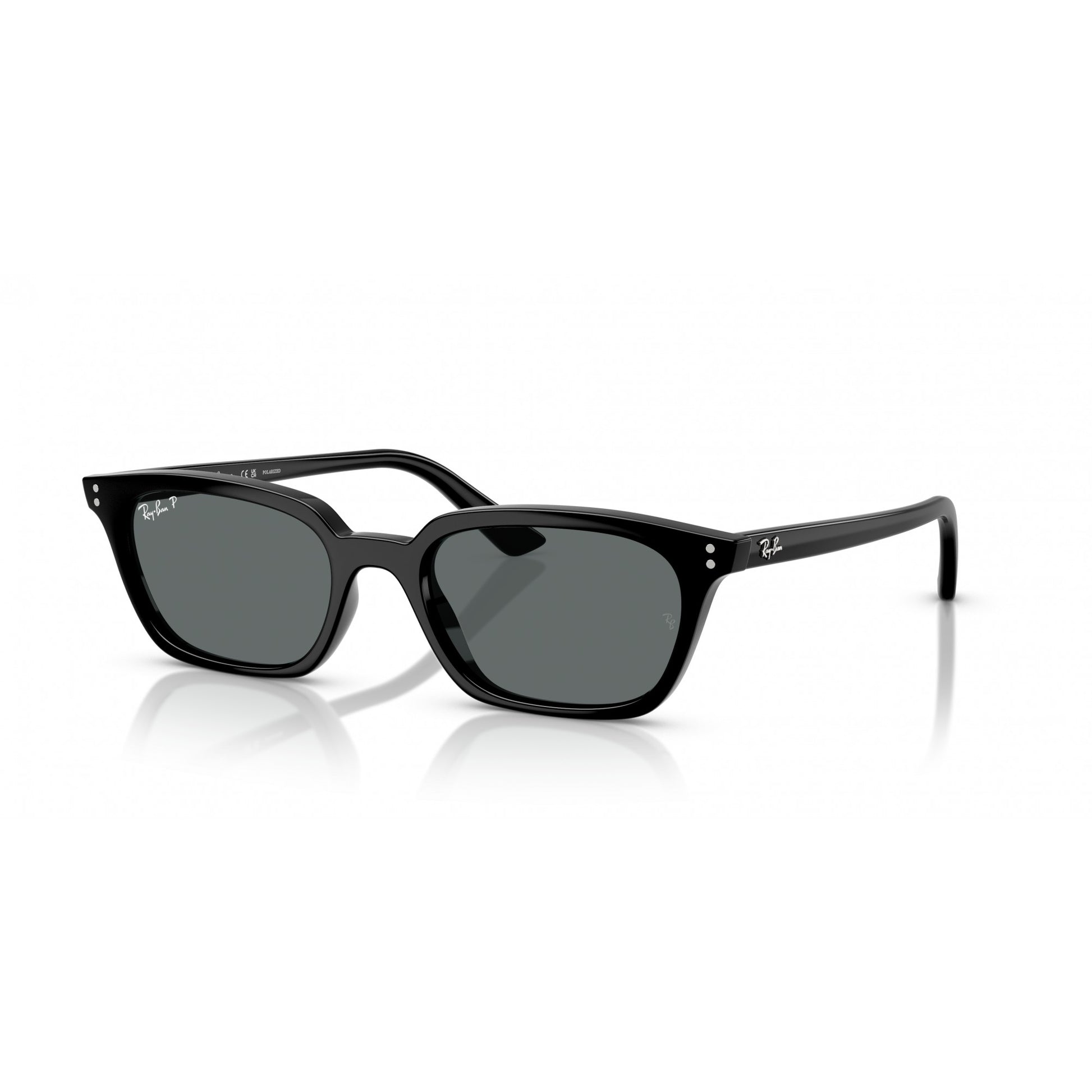 Ray-Ban 0RB4456