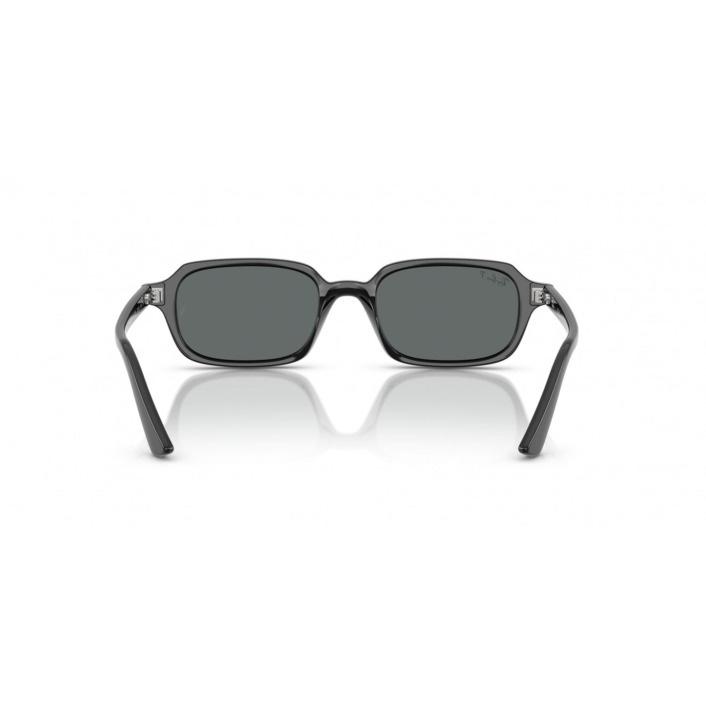 Ray-Ban 0RB4455