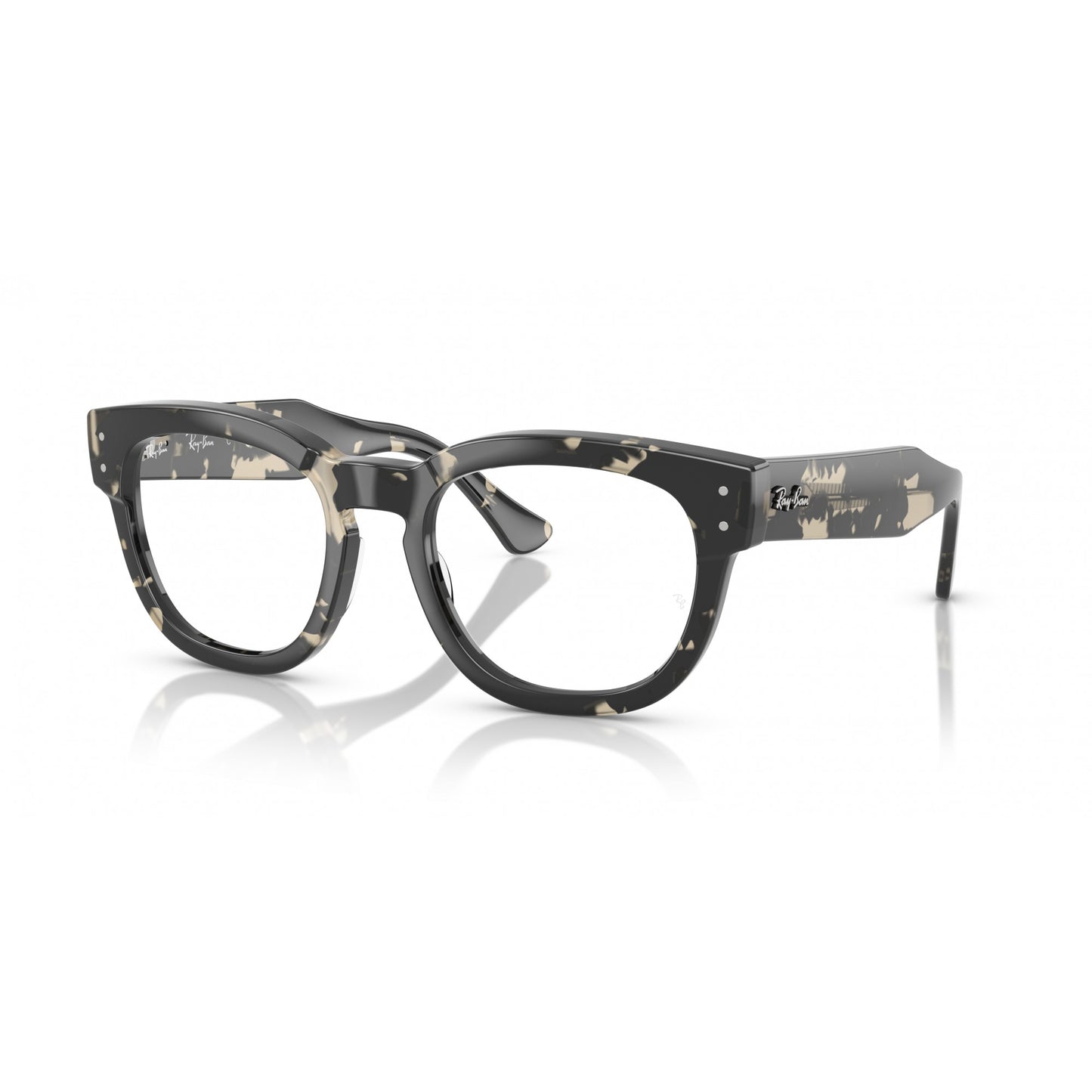Ray-Ban 0RX0298V