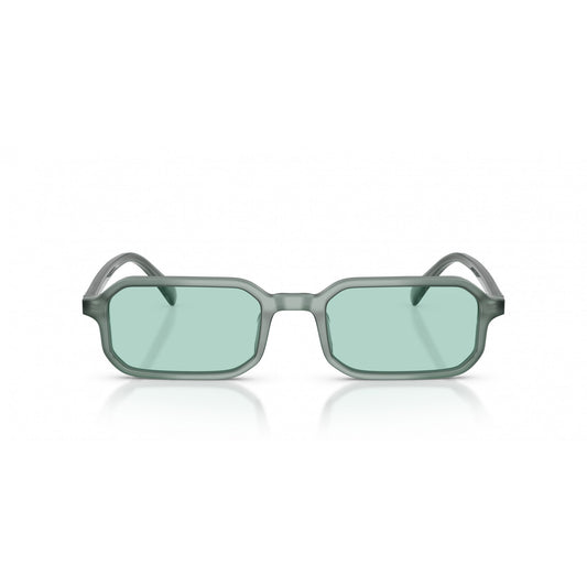 Emporio Armani 0EA4253U