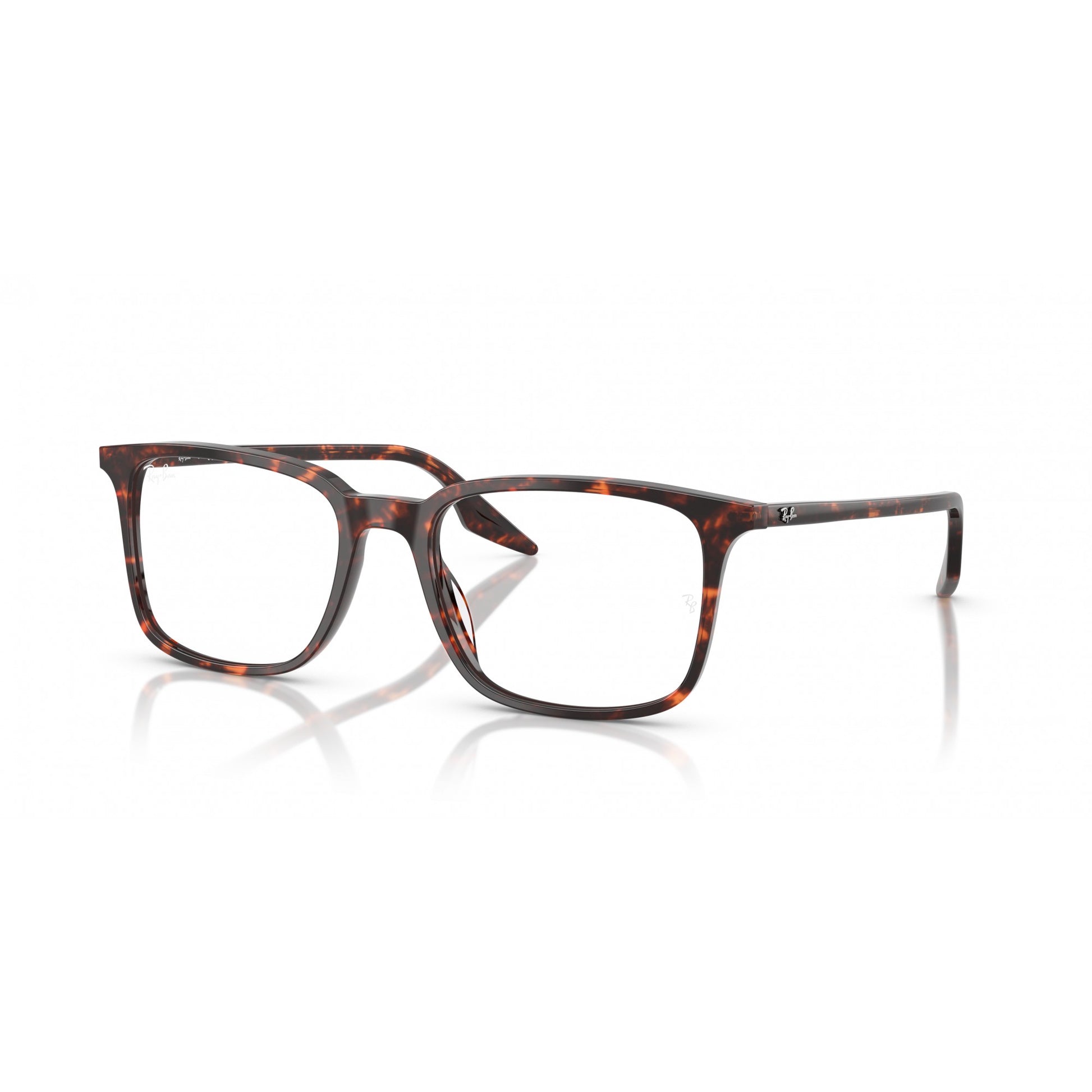 Ray-Ban 0RX5421