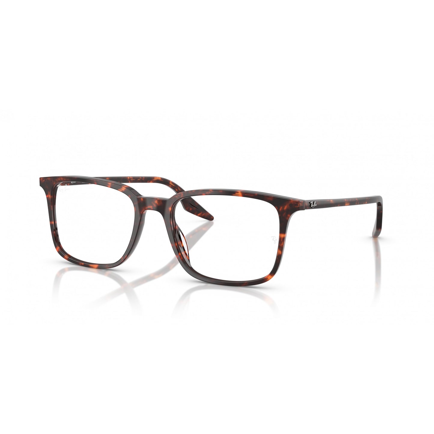 Ray-Ban 0RX5421