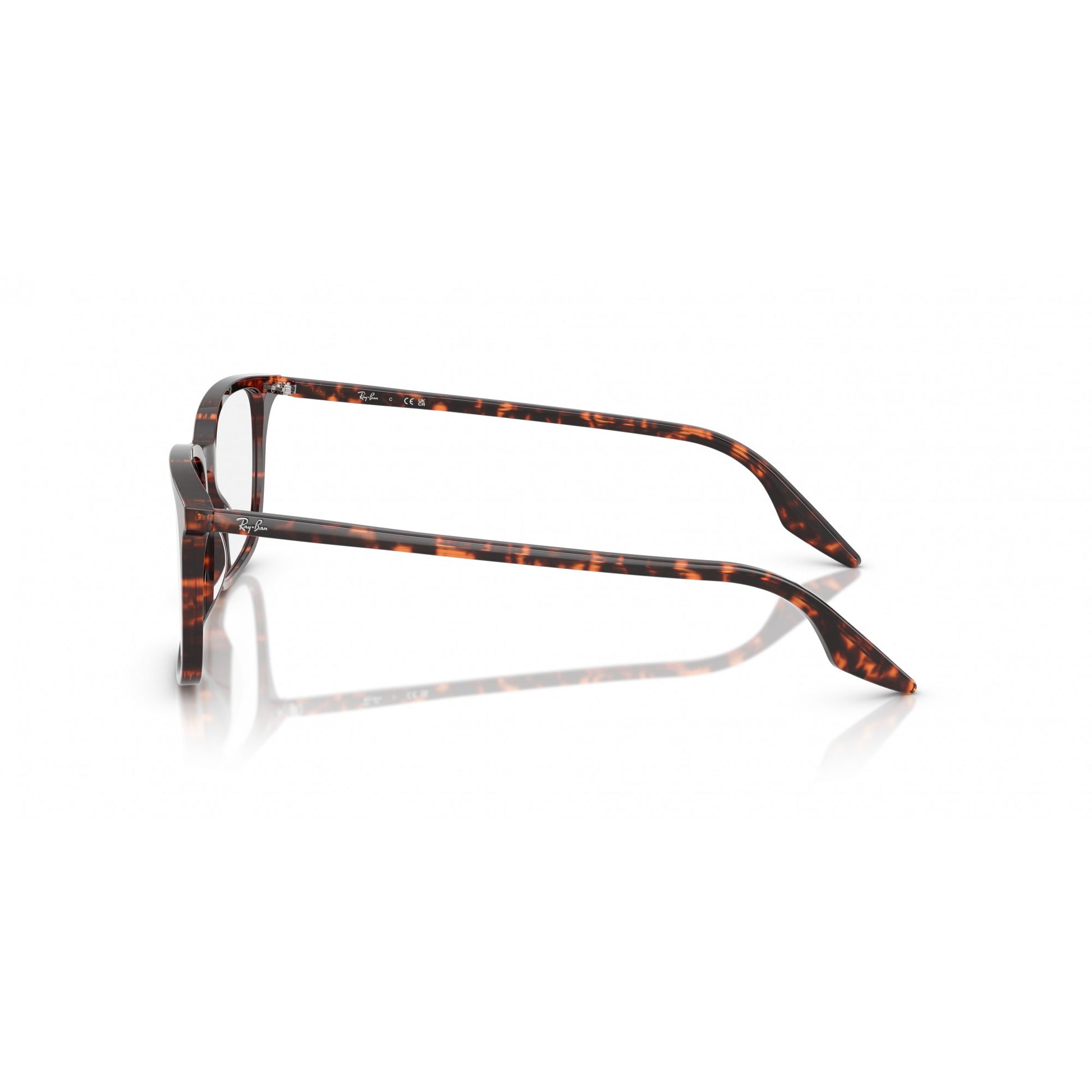 Ray-Ban 0RX5421