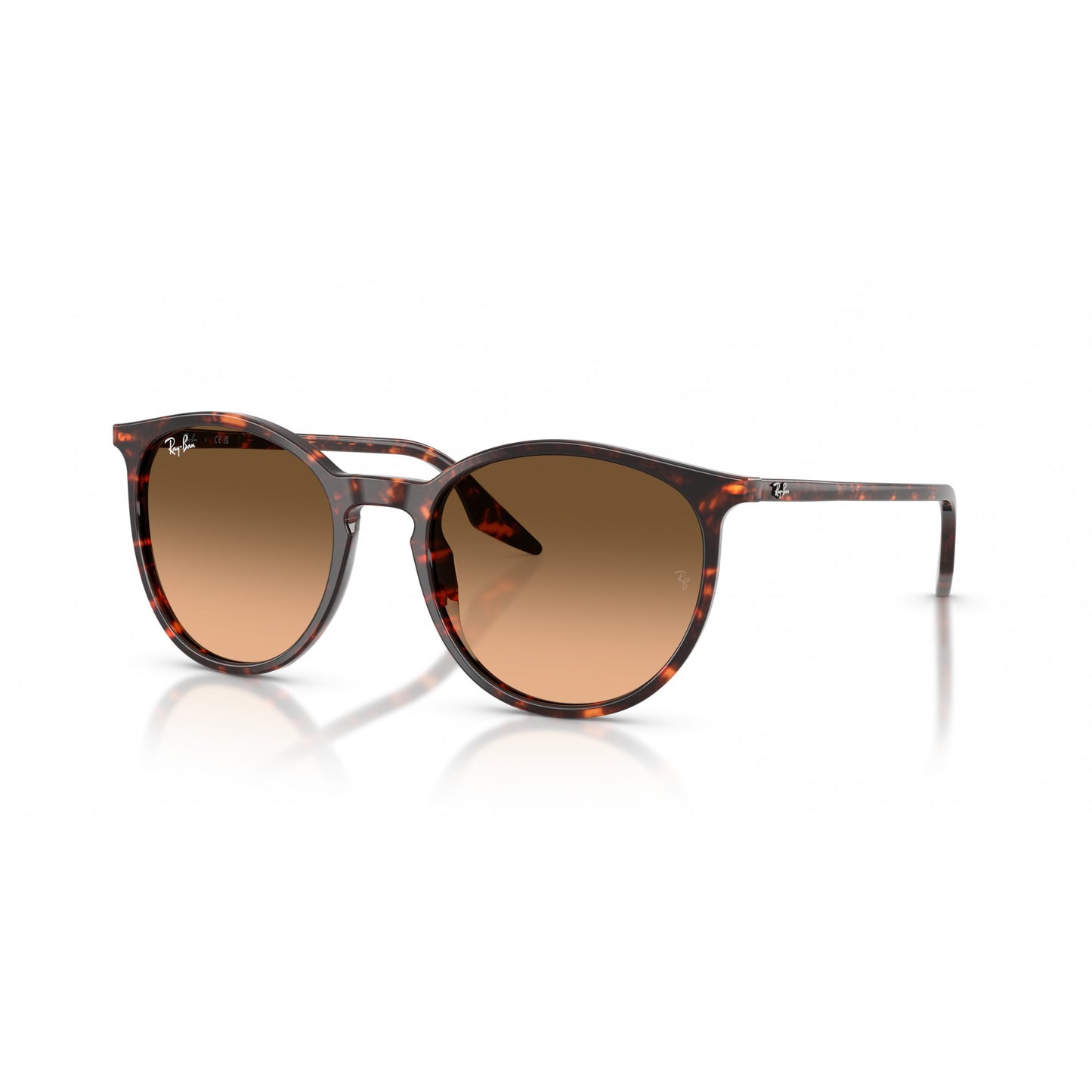 Ray-Ban 0RB2204