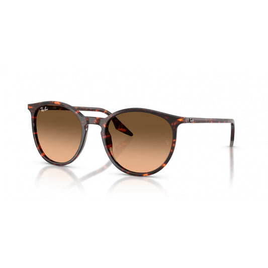 Ray-Ban 0RB2204