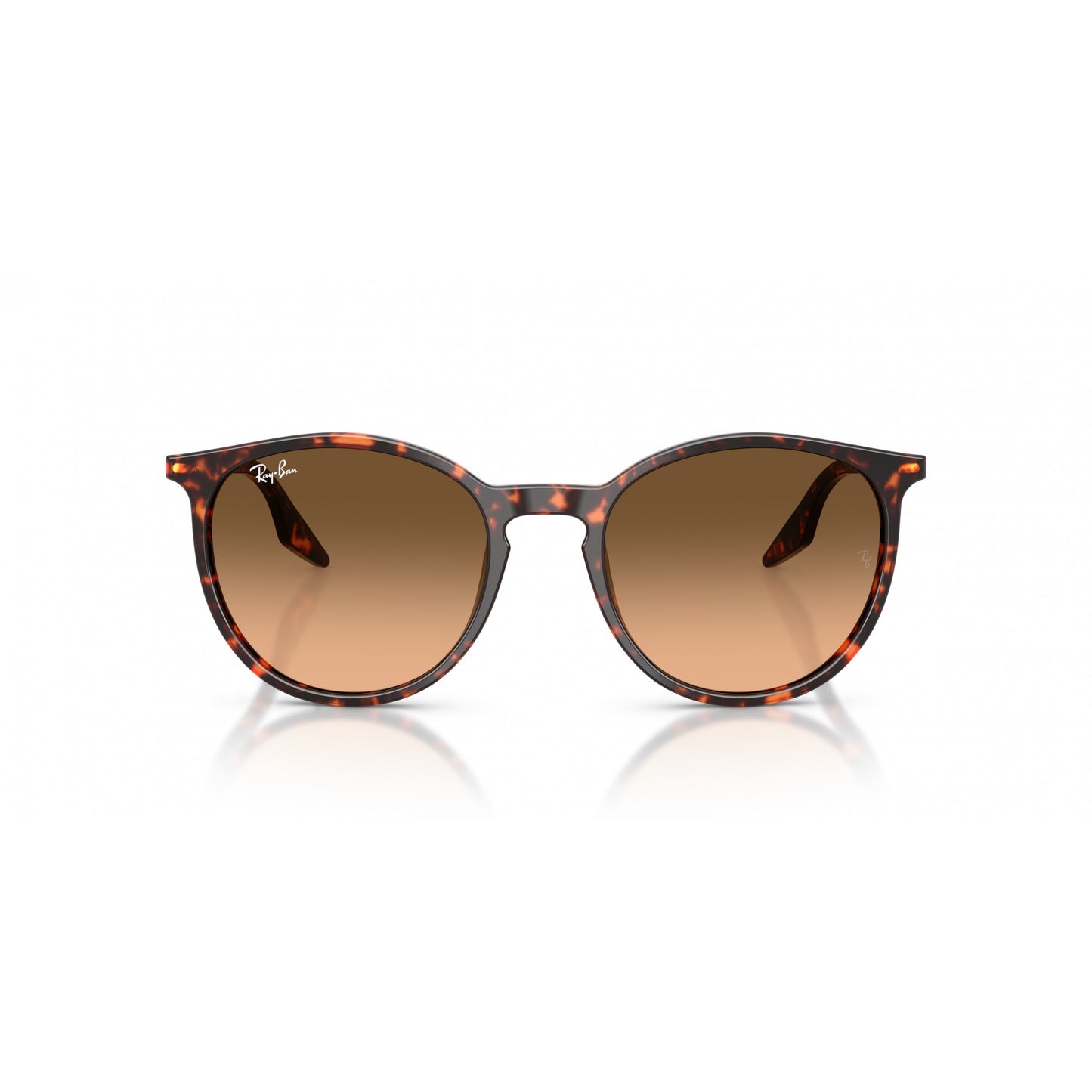 Ray-Ban 0RB2204