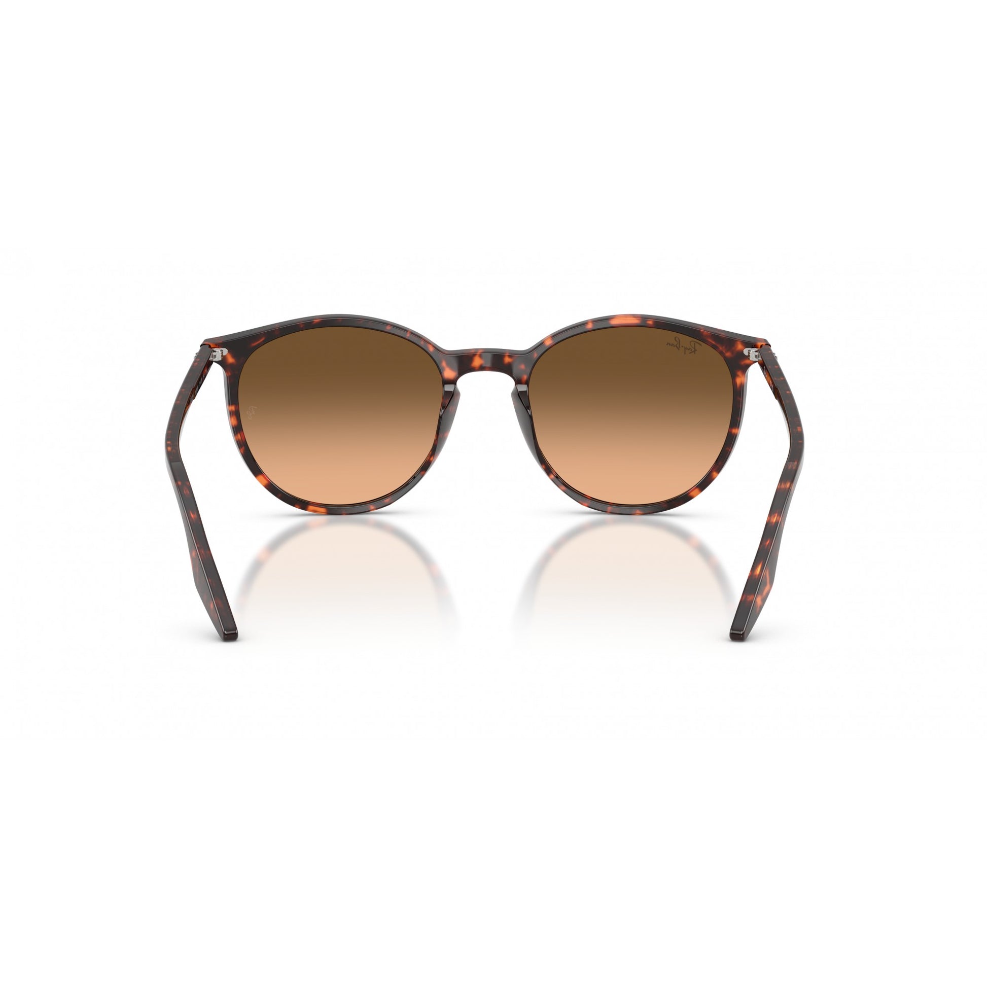 Ray-Ban 0RB2204