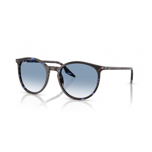 Ray-Ban 0RB2204
