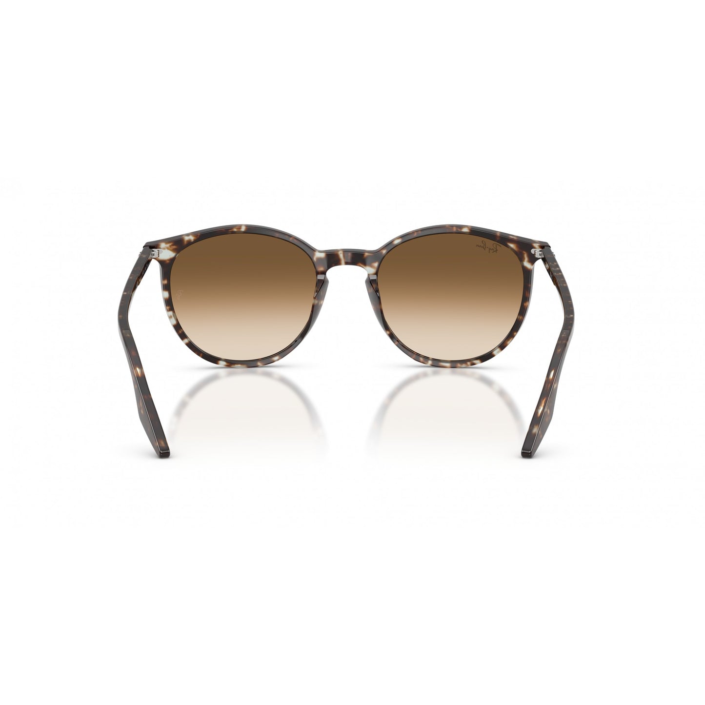 Ray-Ban 0RB2204