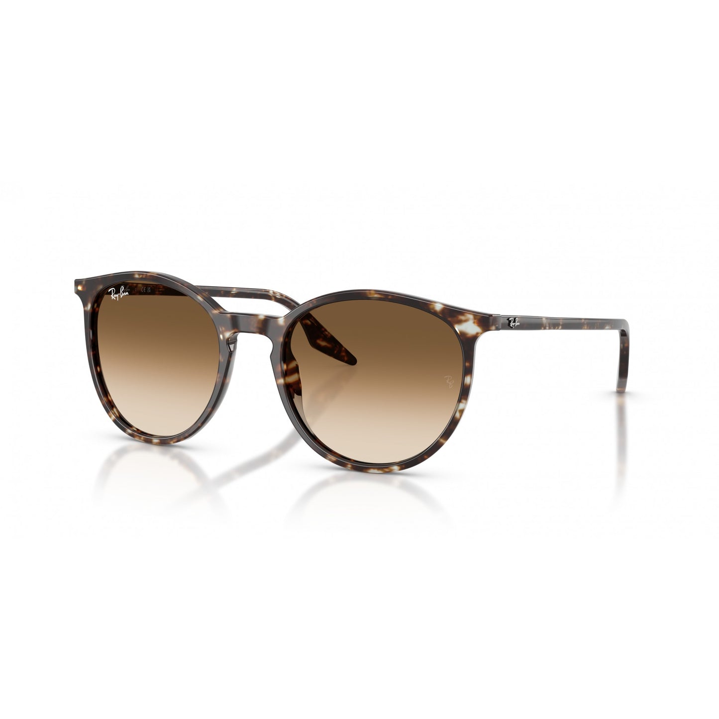 Ray-Ban 0RB2204