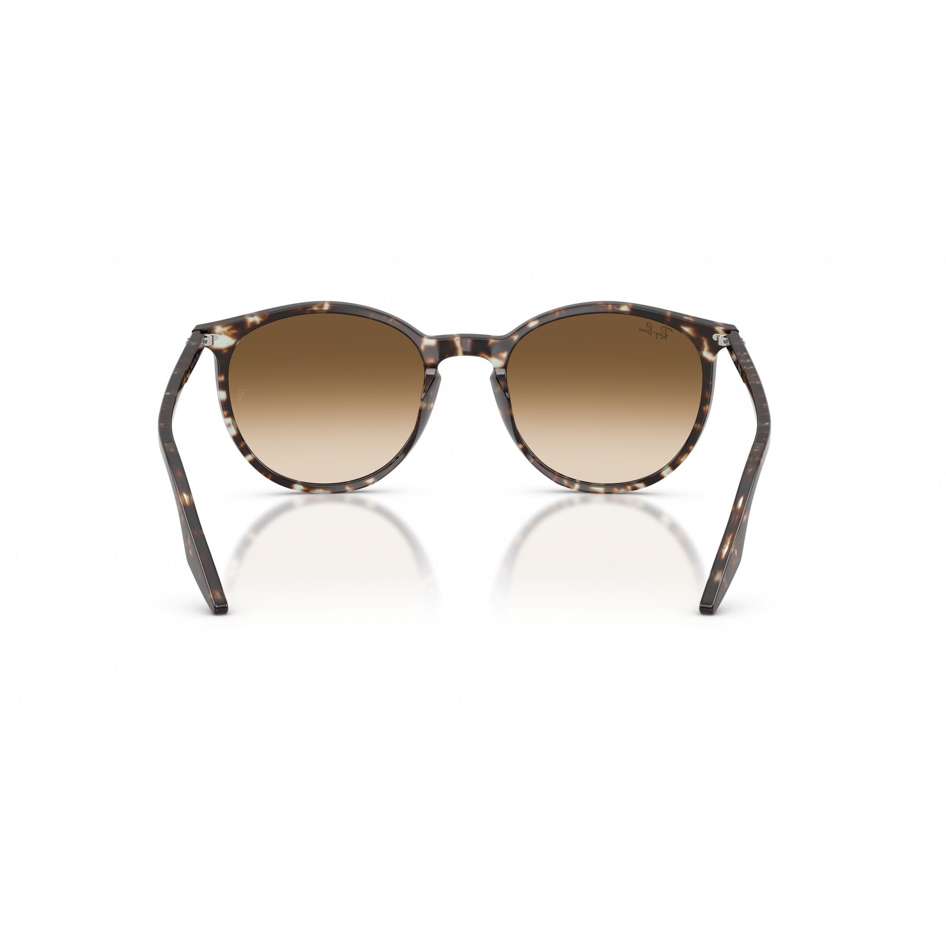 Ray-Ban 0RB2204