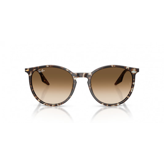 Ray-Ban 0RB2204