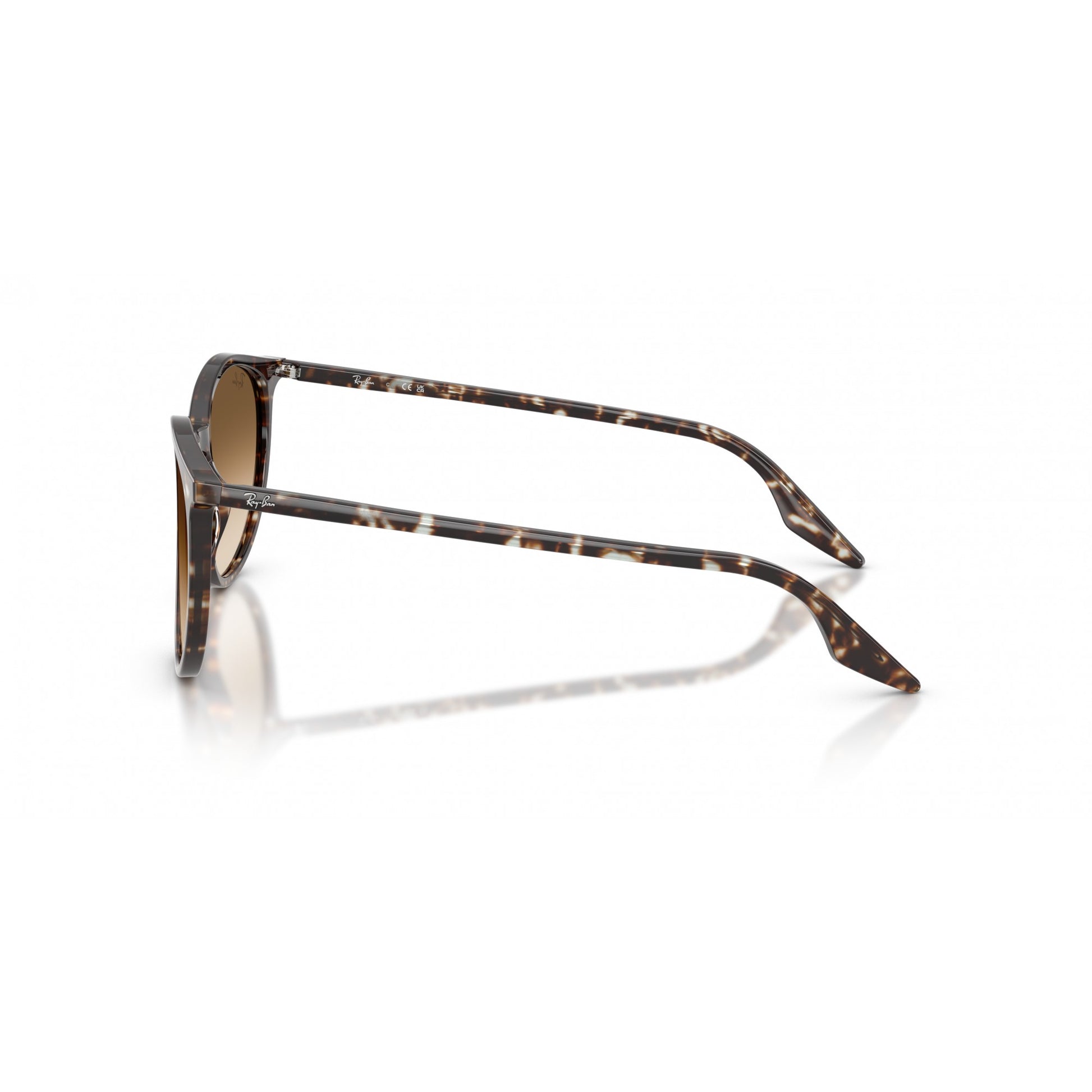 Ray-Ban 0RB2204