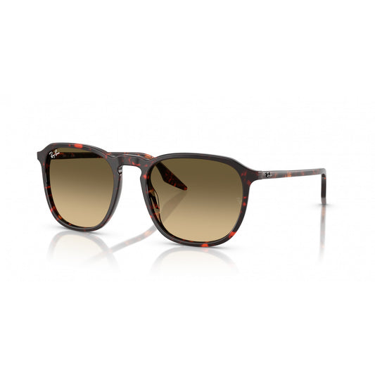 Ray-Ban 0RB2203
