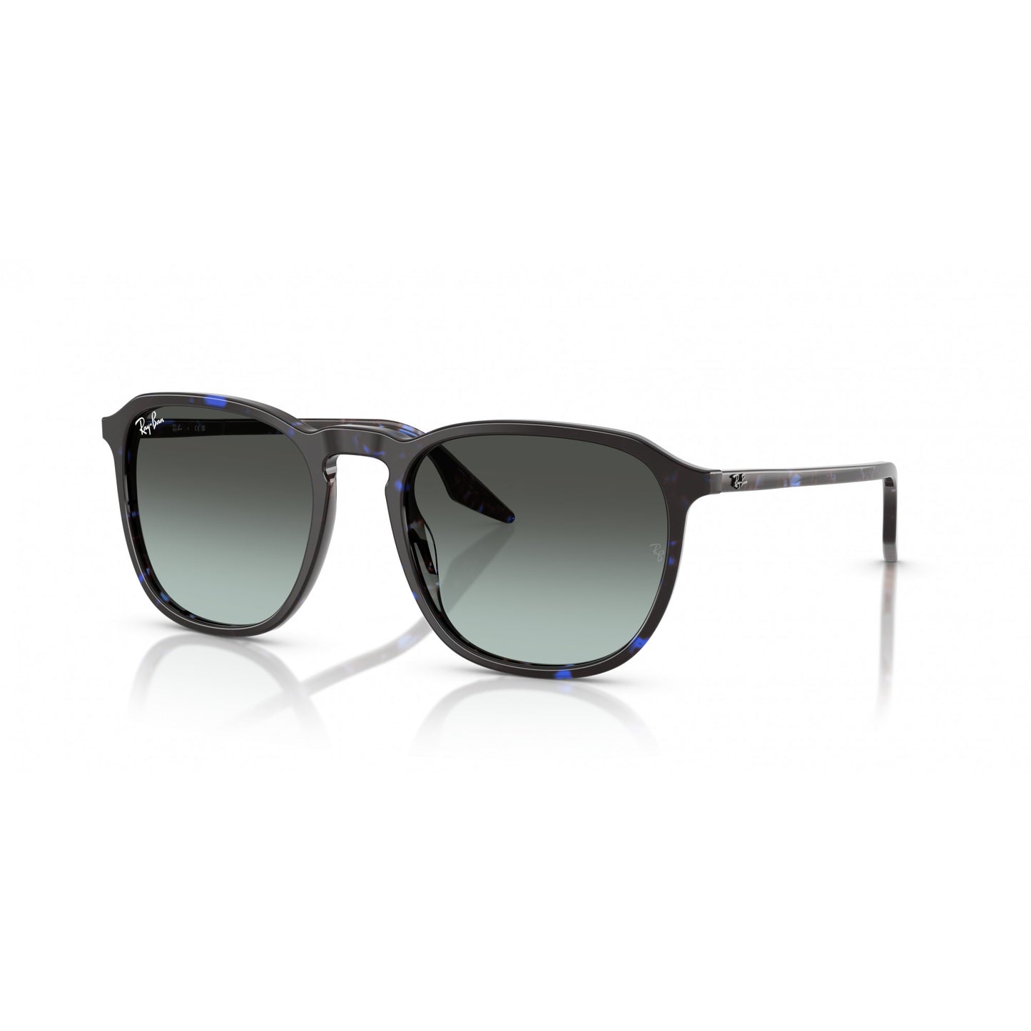 Ray-Ban 0RB2203