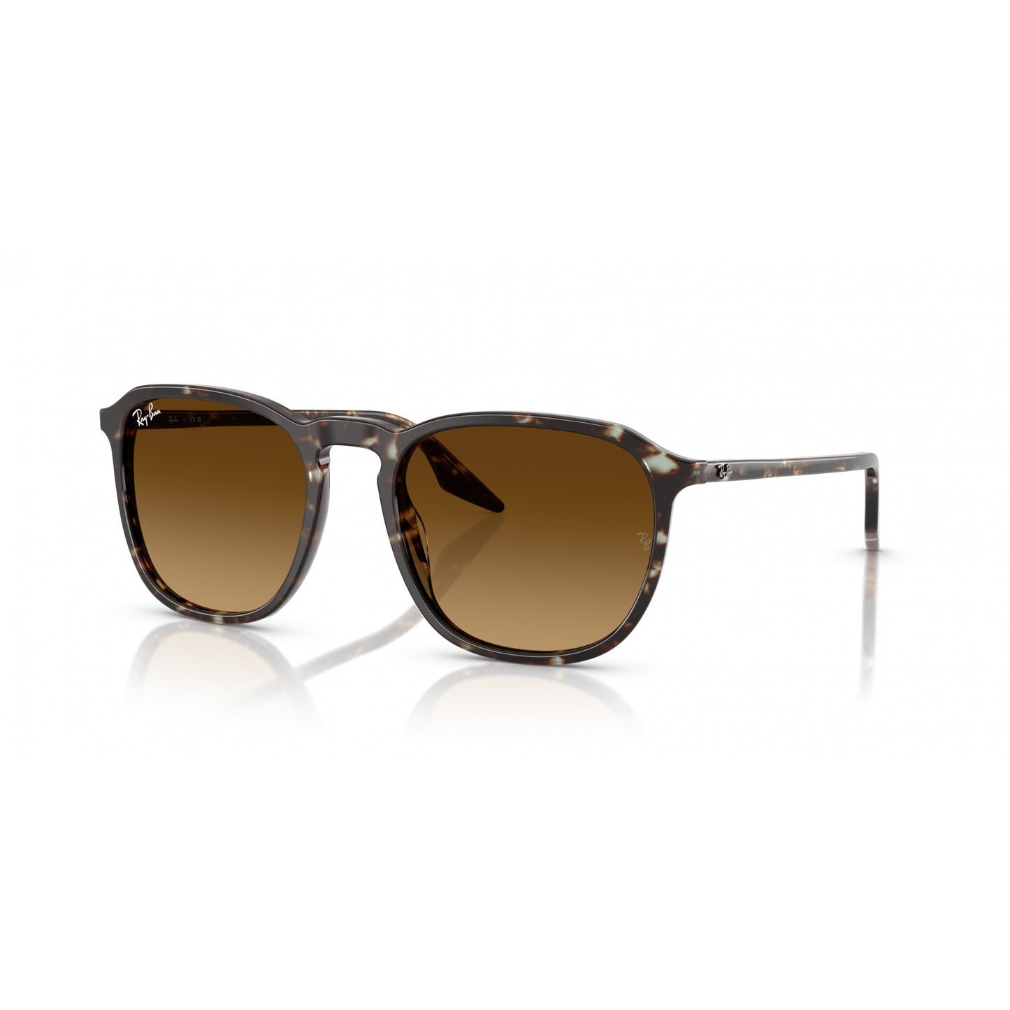 Ray-Ban 0RB2203