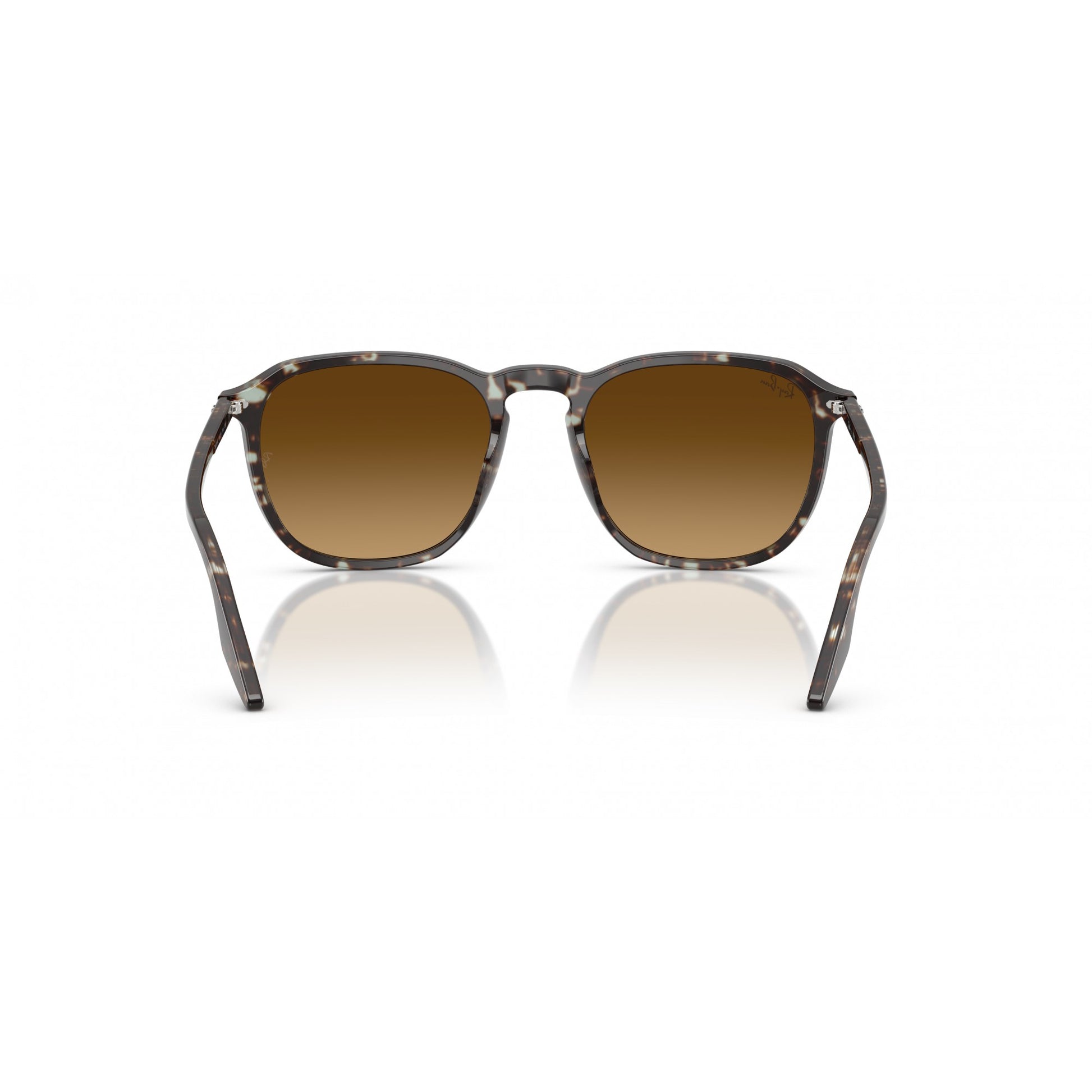 Ray-Ban 0RB2203