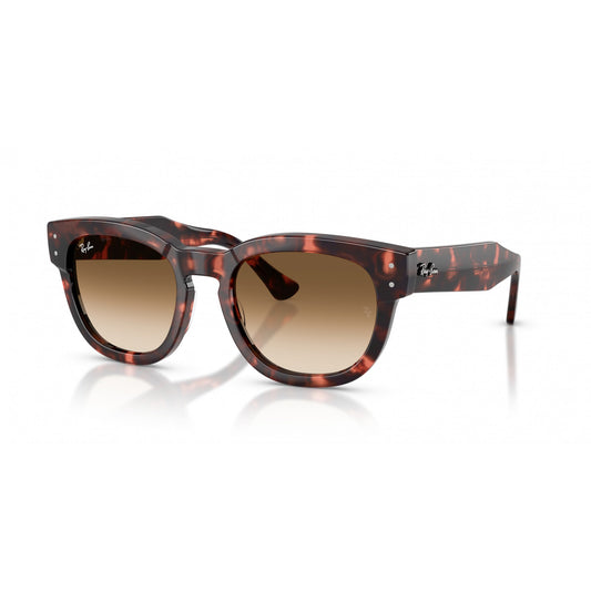 Ray-Ban 0RB0298S