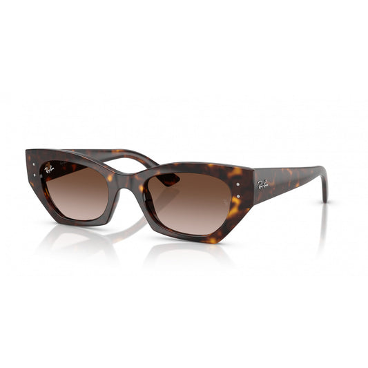 Ray-Ban 0RB4430