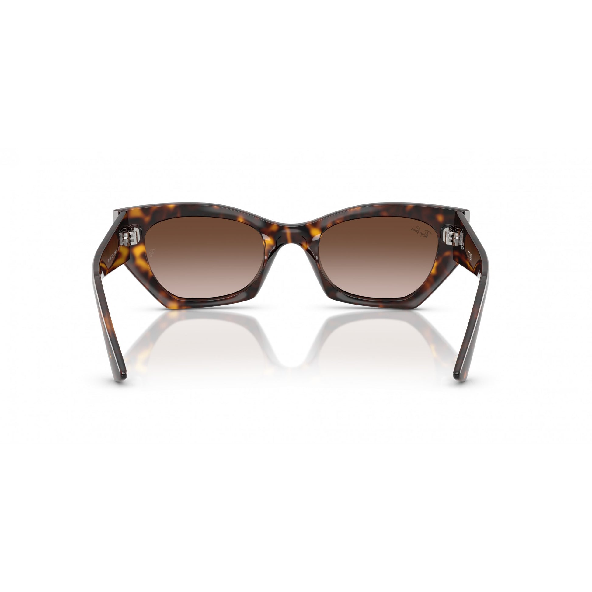 Ray-Ban 0RB4430
