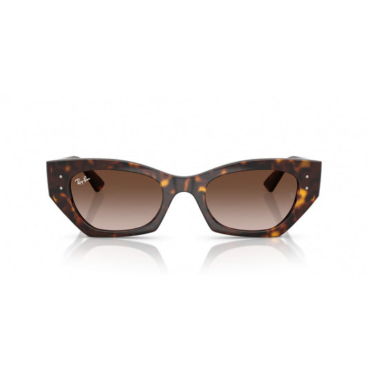 Ray-Ban 0RB4430