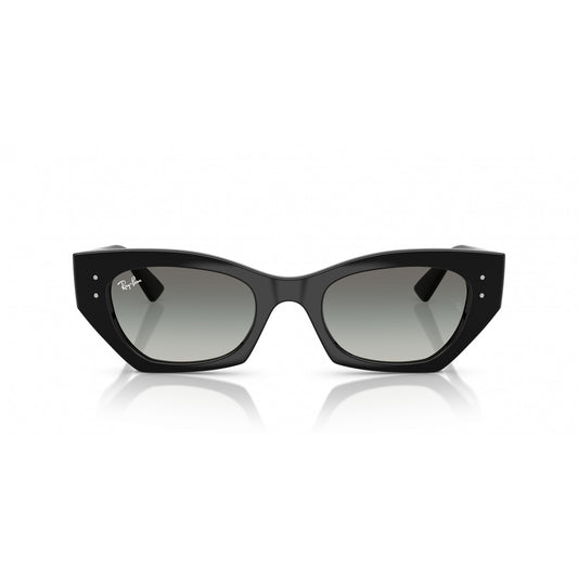Ray-Ban 0RB4430