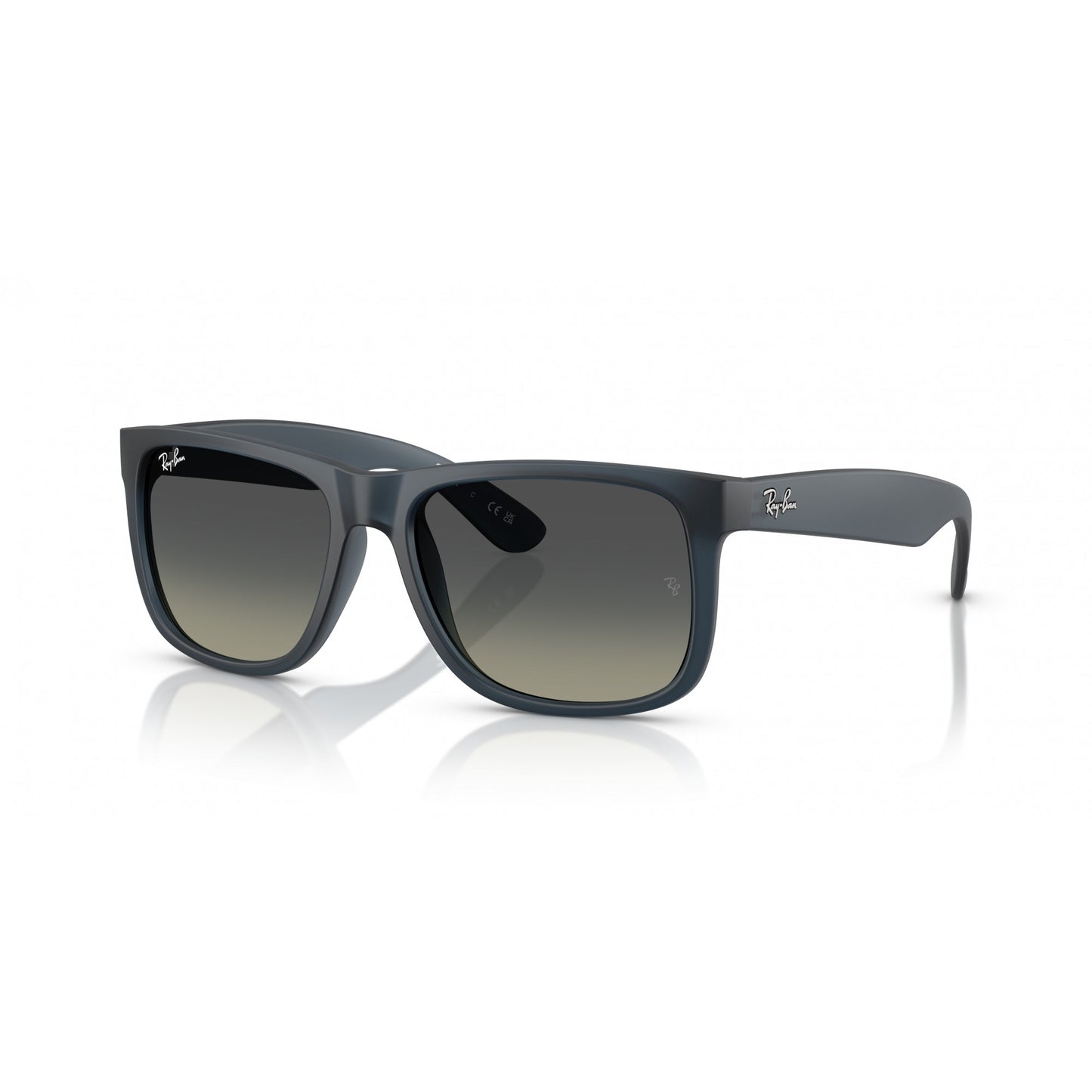 Ray-Ban 0RB4165