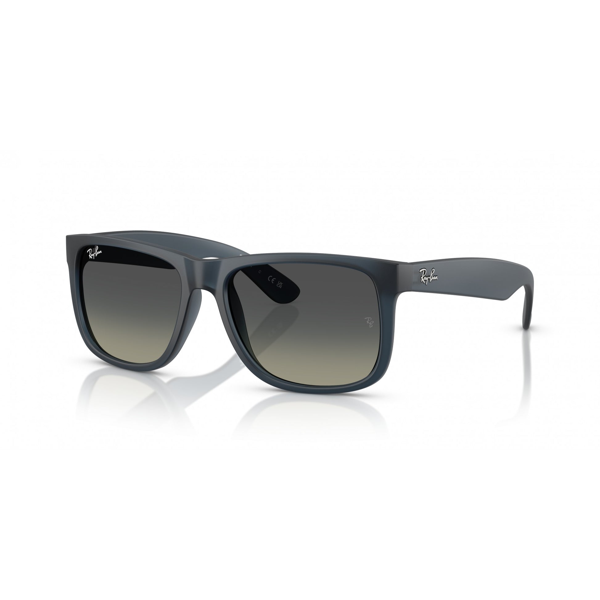 Ray-Ban 0RB4165