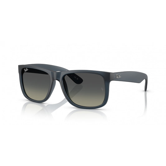 Ray-Ban 0RB4165