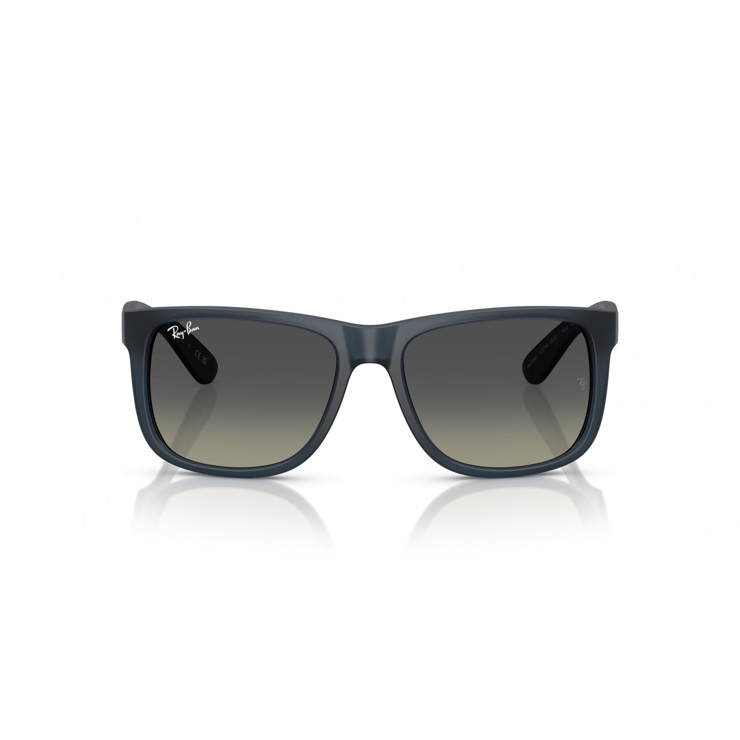 Ray-Ban 0RB4165