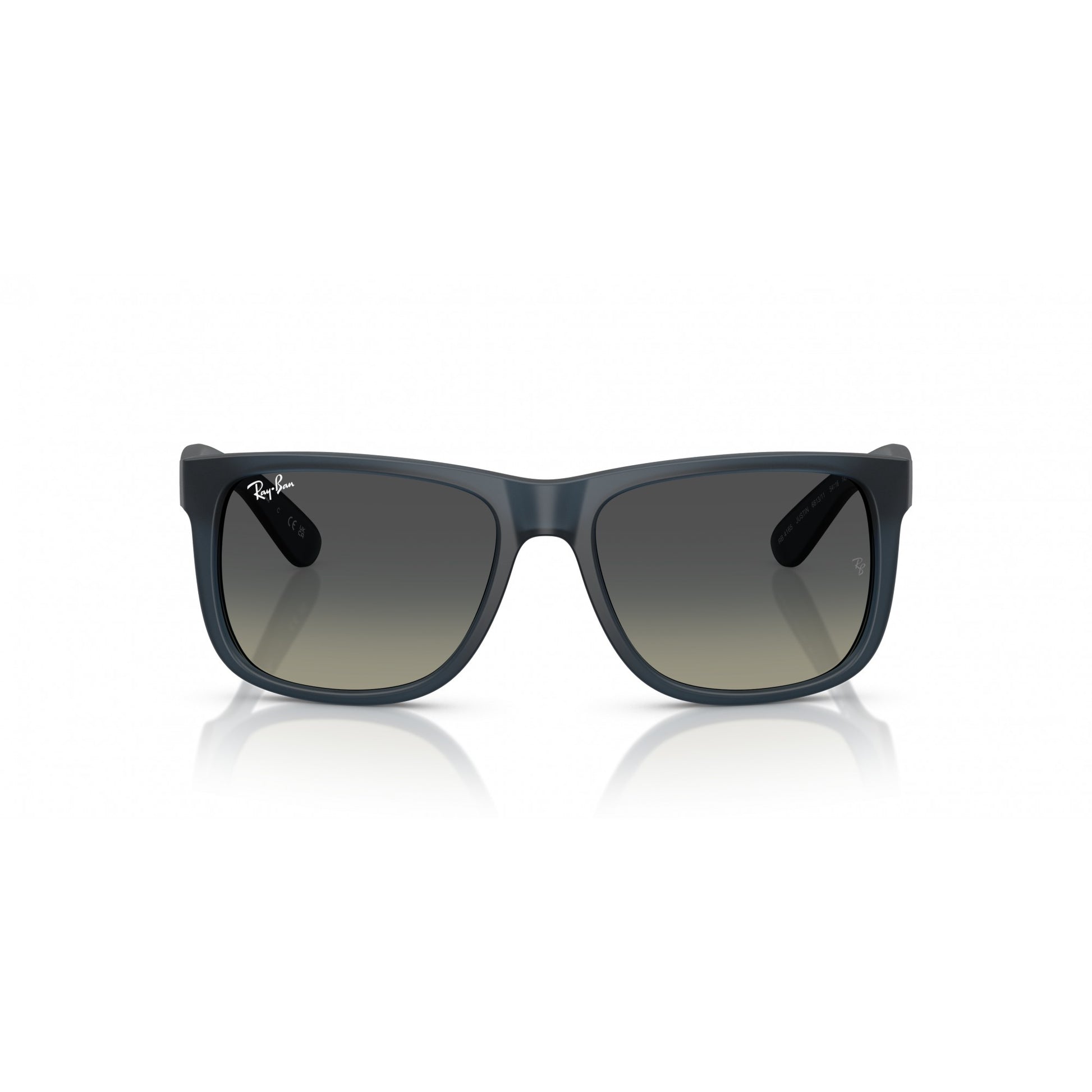 Ray-Ban 0RB4165