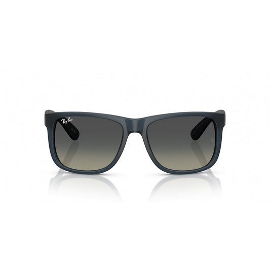 Ray-Ban 0RB4165