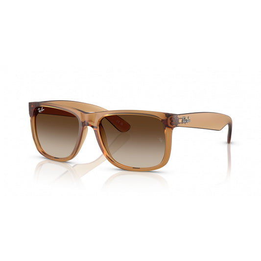 Ray-Ban 0RB4165