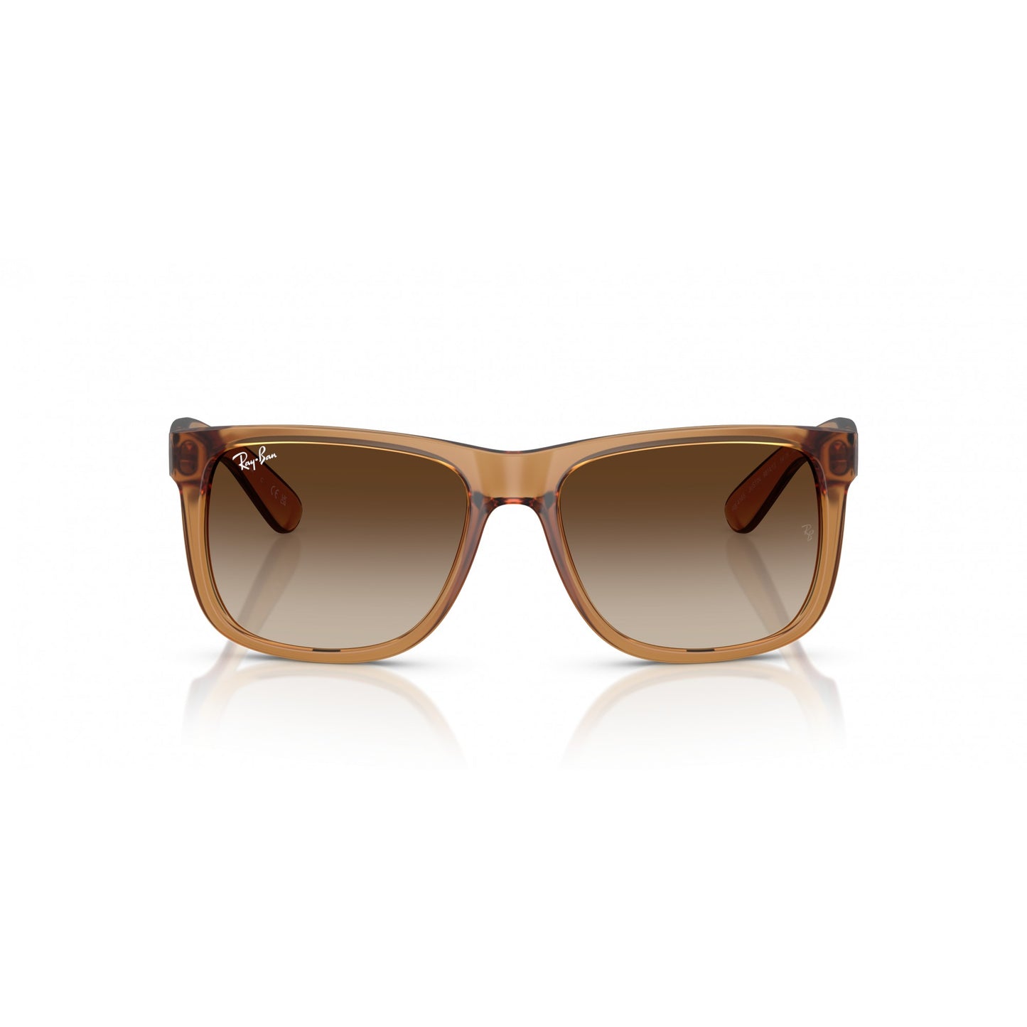 Ray-Ban 0RB4165