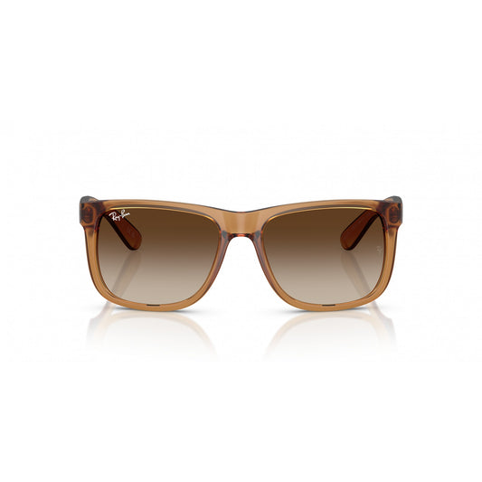 Ray-Ban 0RB4165