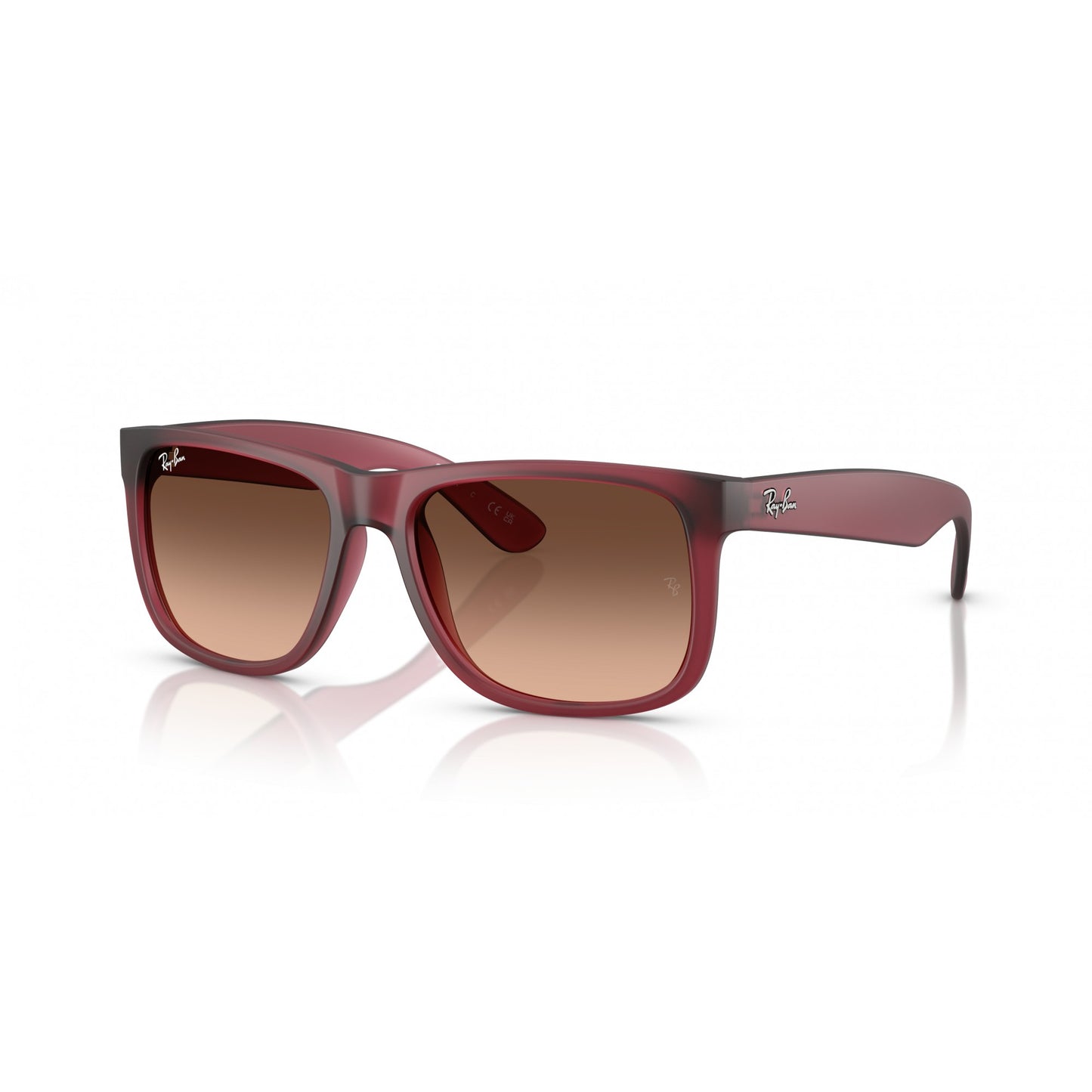 Ray-Ban 0RB4165