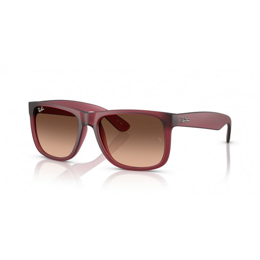 Ray-Ban 0RB4165