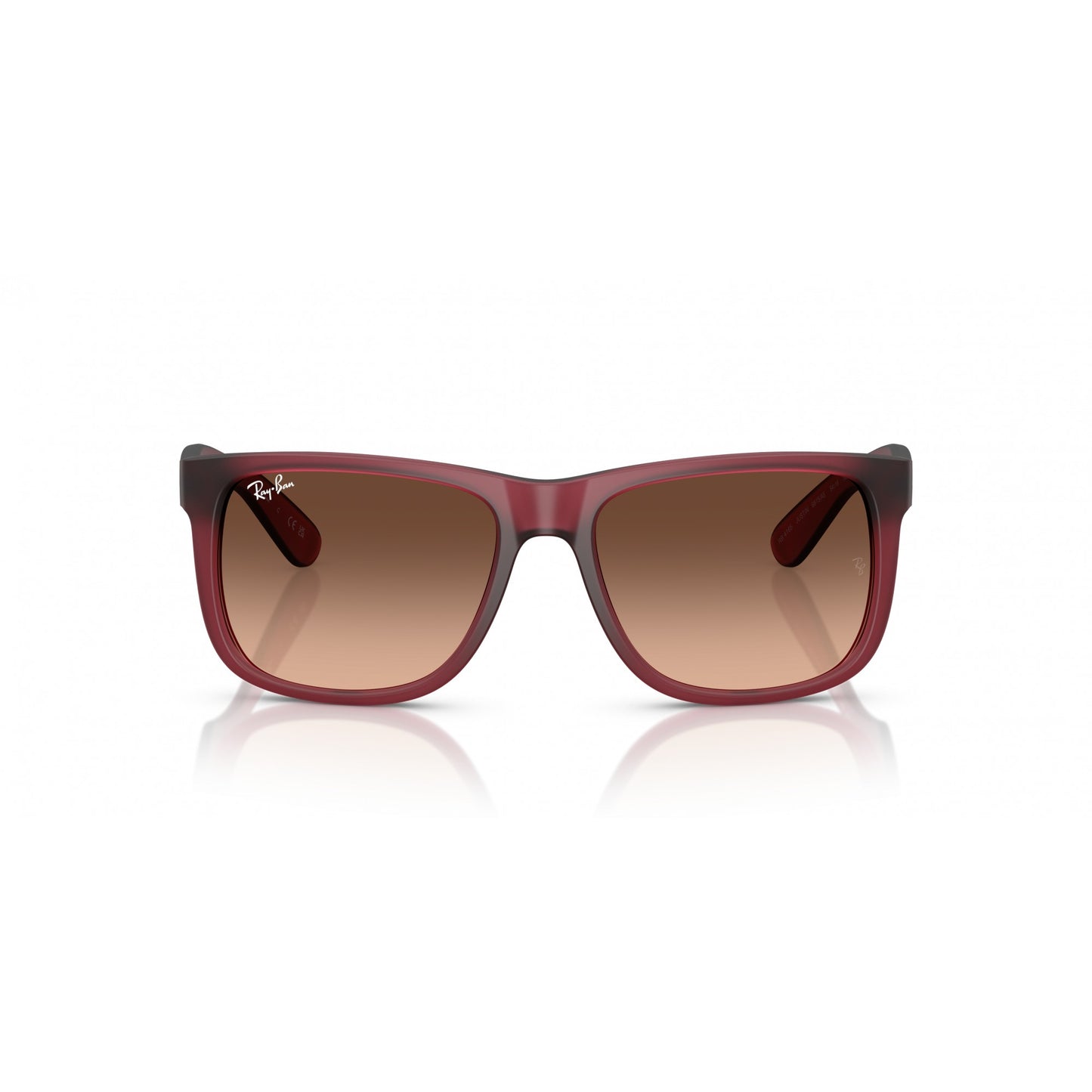 Ray-Ban 0RB4165