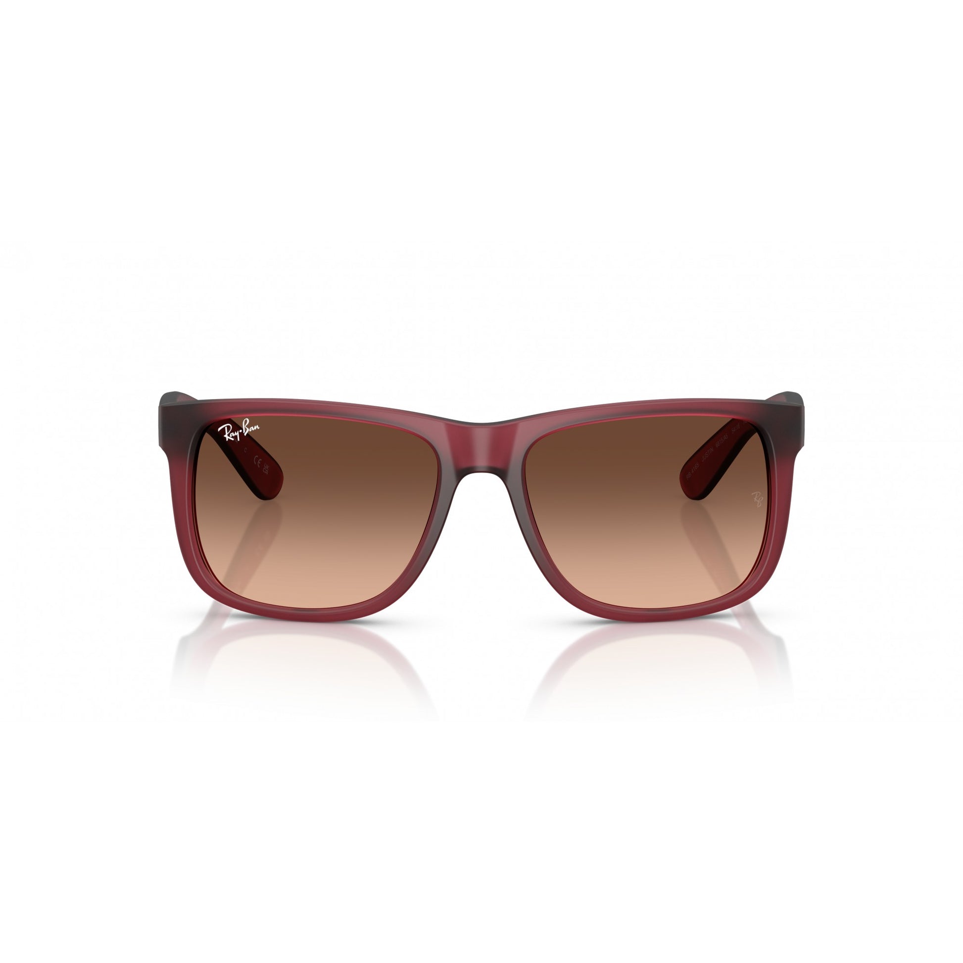 Ray-Ban 0RB4165