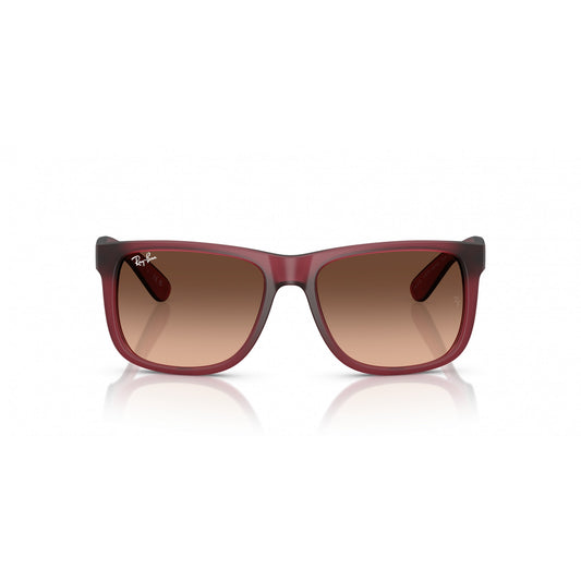 Ray-Ban 0RB4165