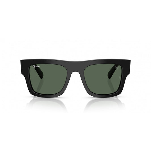 Ray-Ban 0RB2217M