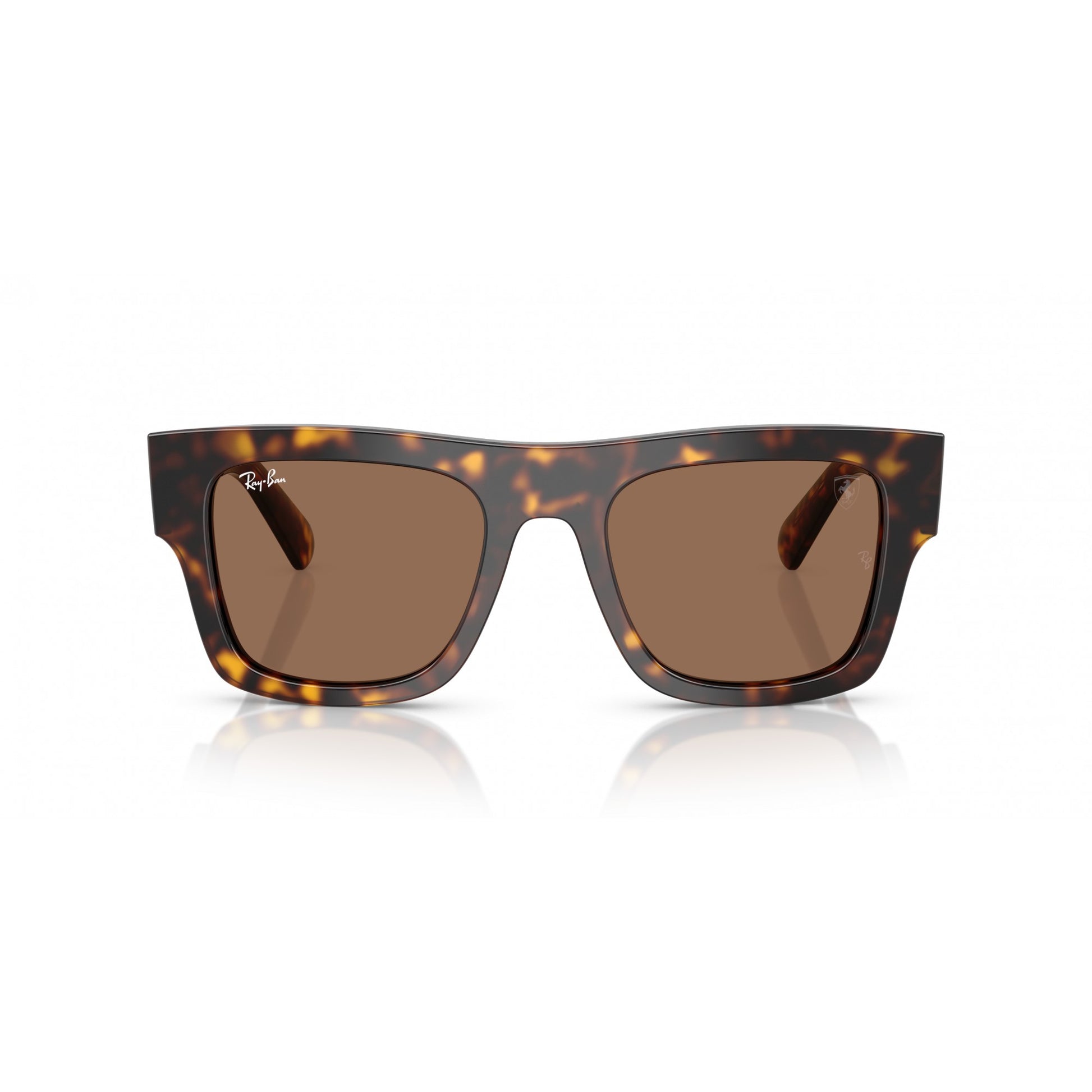 Ray-Ban 0RB2217M